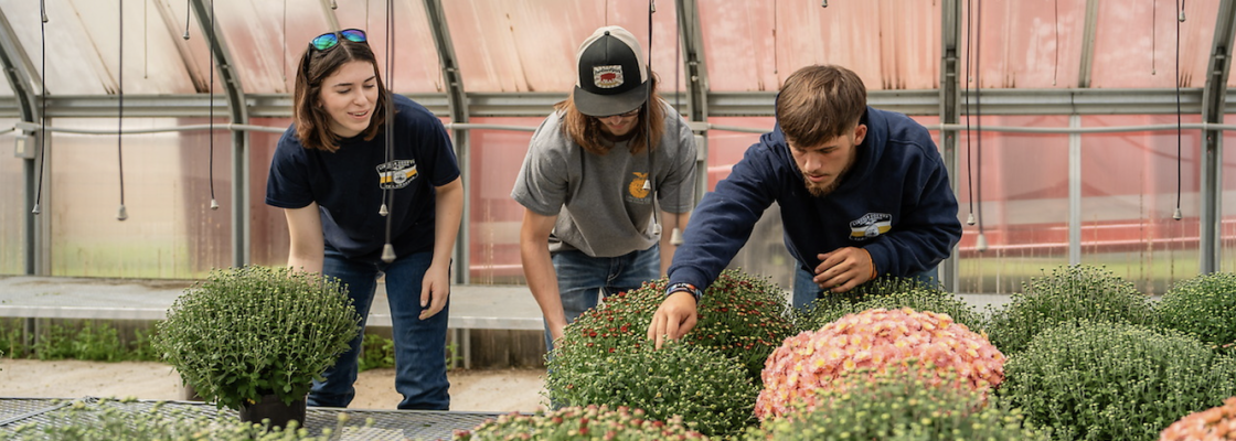 Students working in the greenhouse