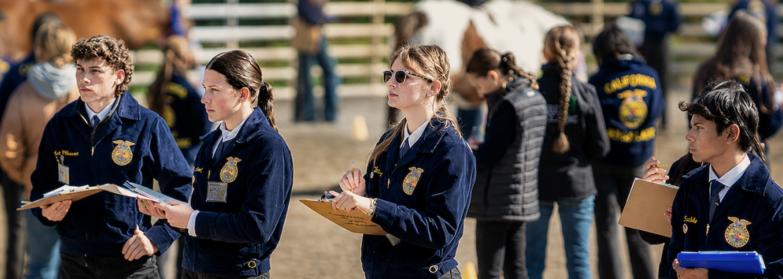 Students competing in horse evaluation