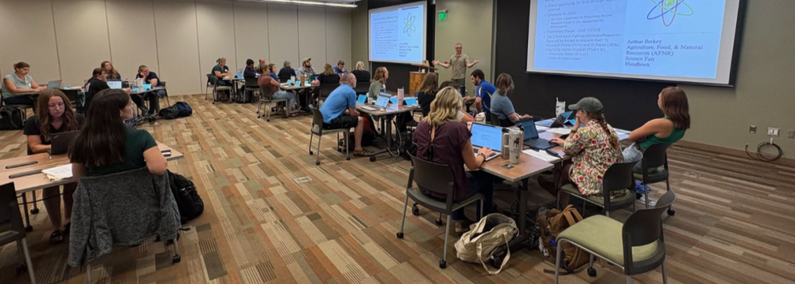 New teachers gather for professional development training